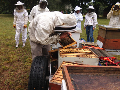 Searching the Hive
